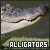 Alligators