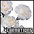 Carnations