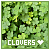 Clovers