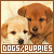 Dogs
