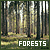 Forests