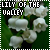 LilyoftheValley