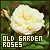 OldGardenRoses