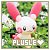 Plusle