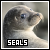Seals