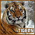 Tigers