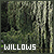 Willows